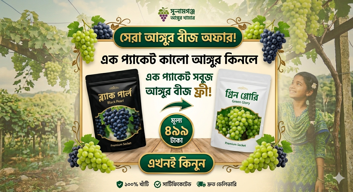 এক পেকের কালো আঙ্গুর এর বীজ কিনলে একটি সাদা আঙ্গুর এর বীজ ফ্রী