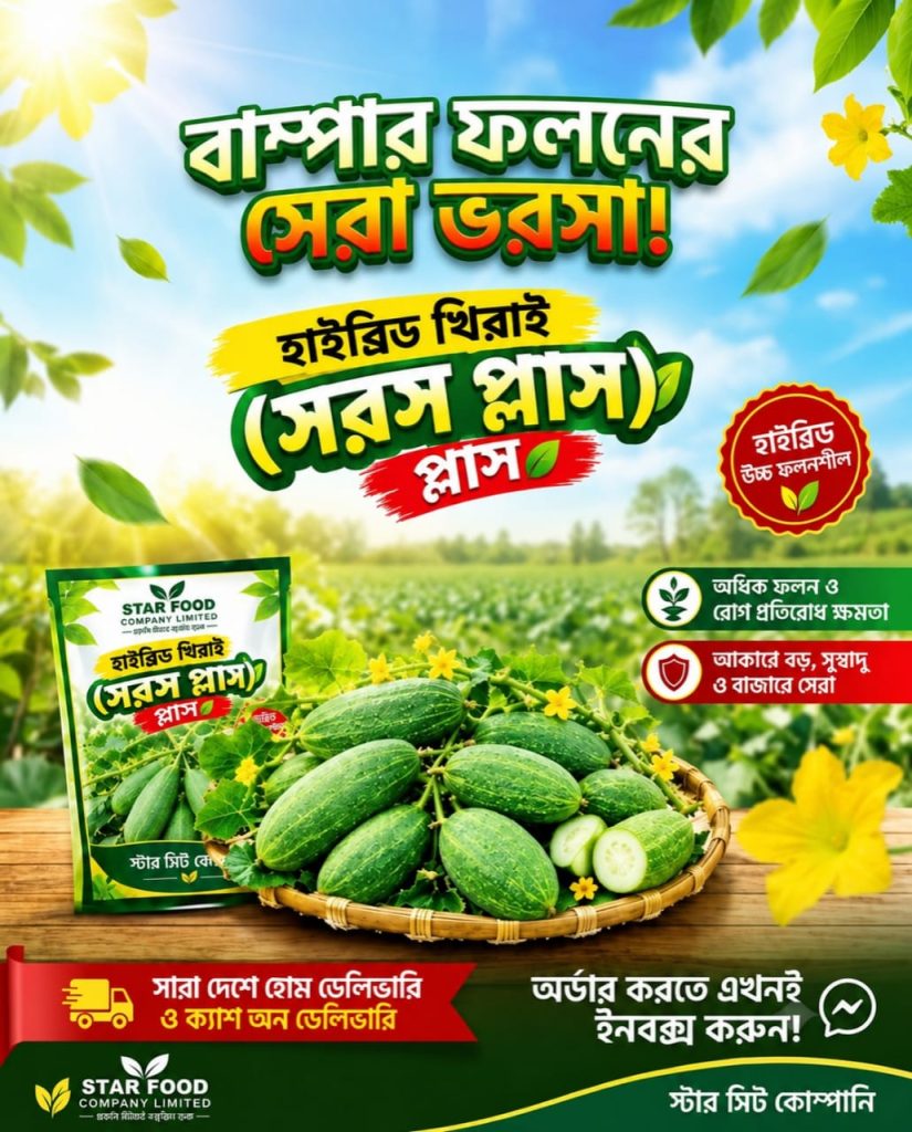 হাইব্রিড খিরাই সরস প্লাস 10gm